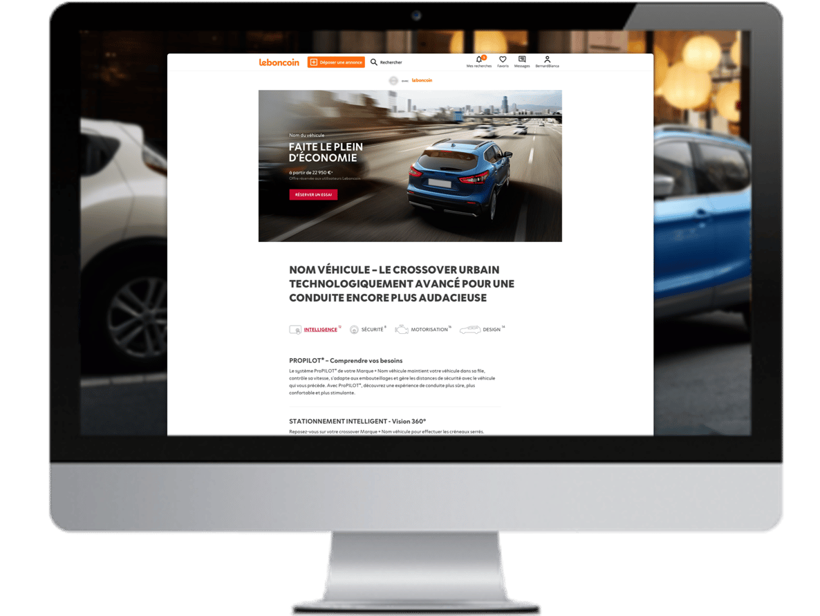 image offre déstockage OPS leboncoin Publicité